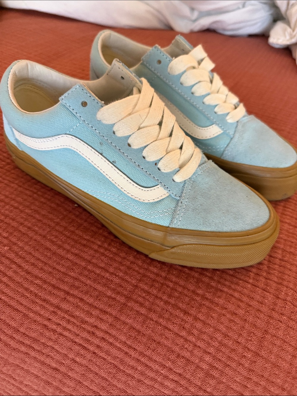 Vans old skool shoe